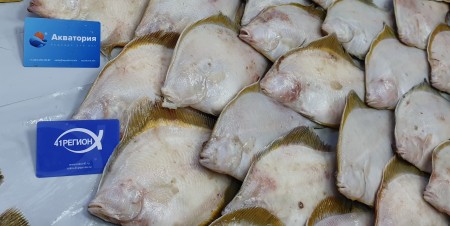 Камбала желтоперая